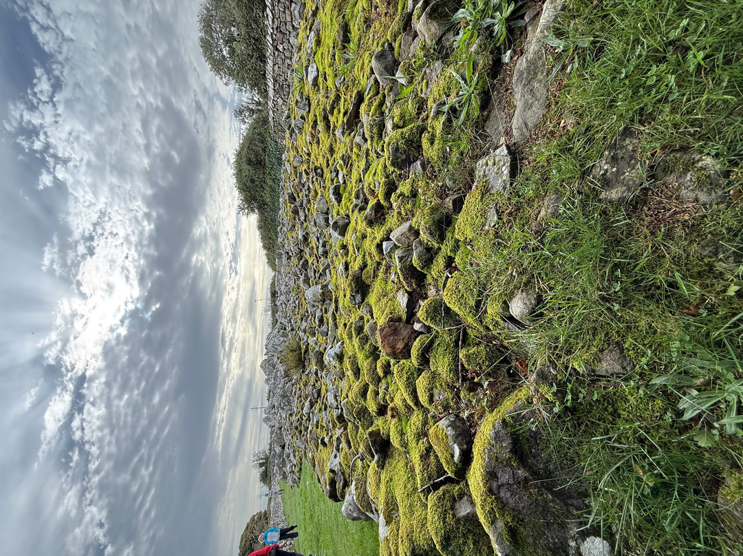 Connect the Dots Tours of Ireland-都柏林必去景点