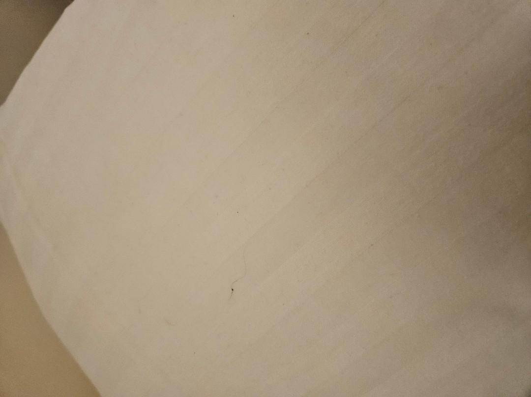 鹈鹕旅馆主图