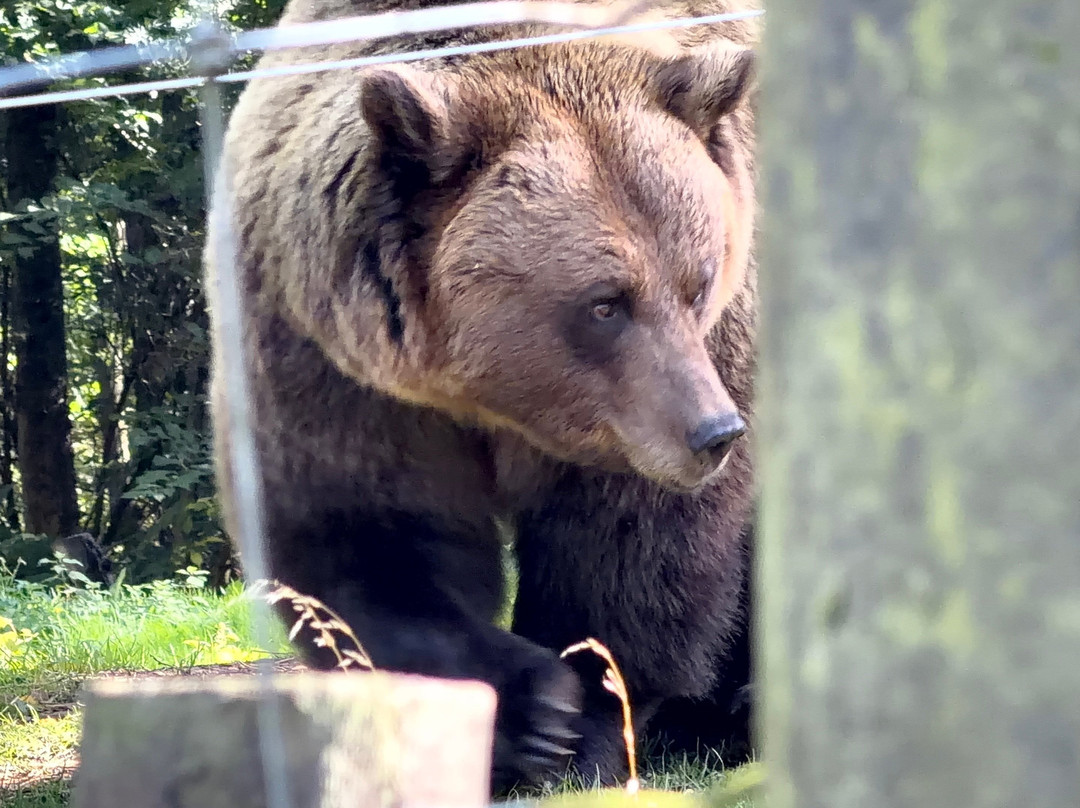 Five Sisters Zoo-West Calder必去景点
