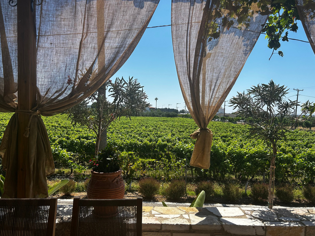 Hatziemmanouil Winery-Linopotis必去景点