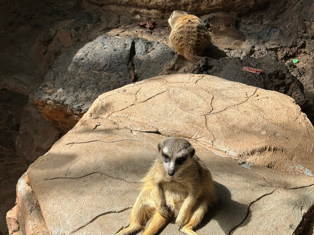 Maroparque Isla de La Palma-Brena Alta必去景点