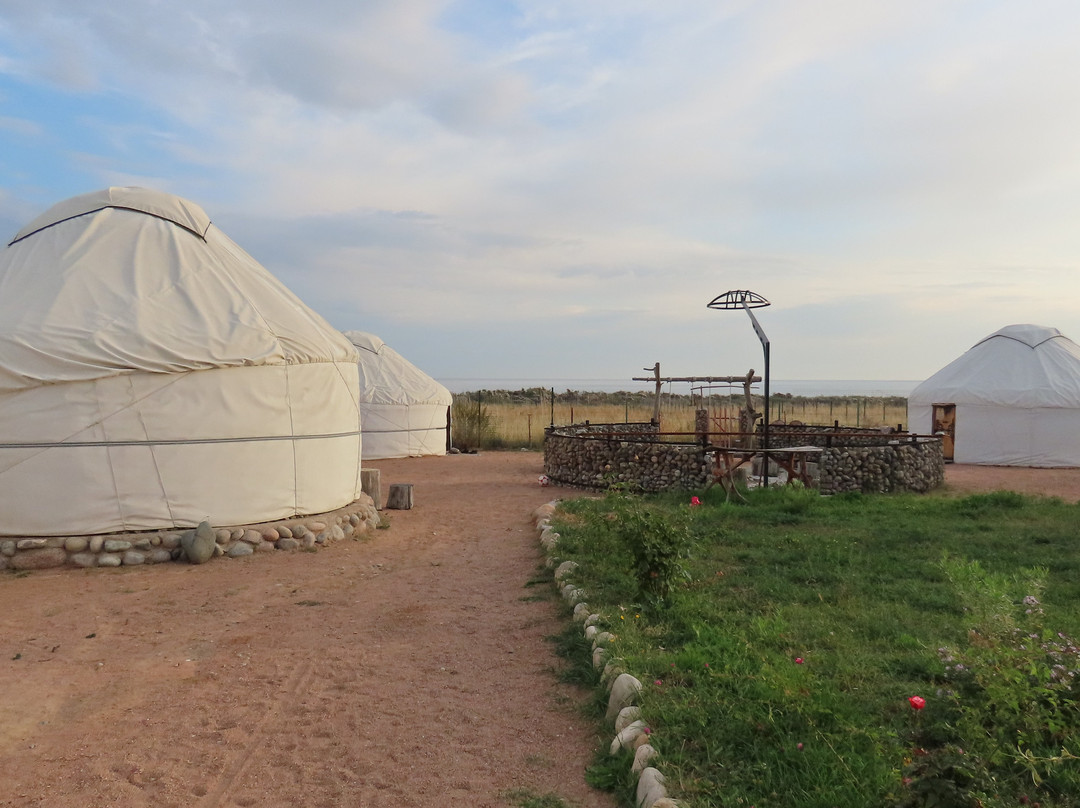 Yurt Camp Sonun
