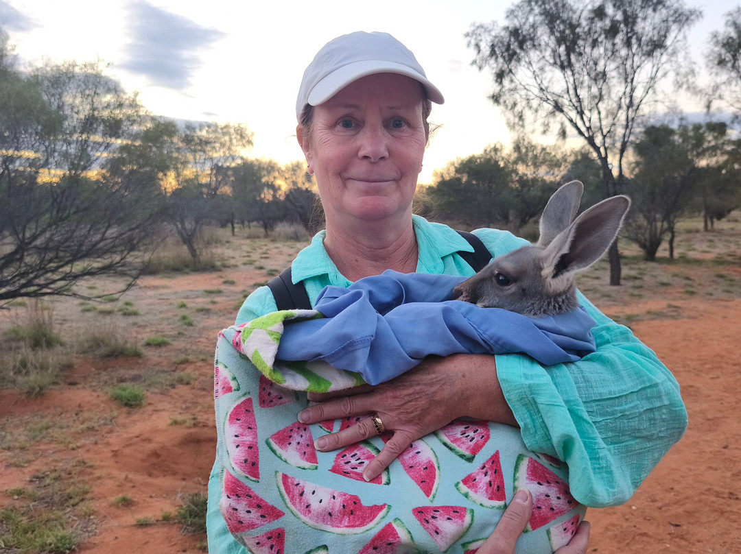 The Kangaroo Sanctuary-爱丽斯泉必去景点