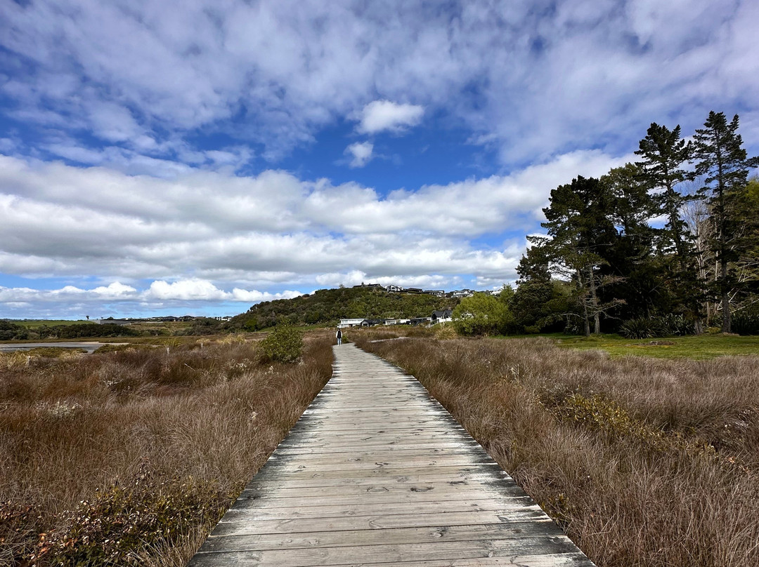 Omokoroa Walkway-Athenree必去景点
