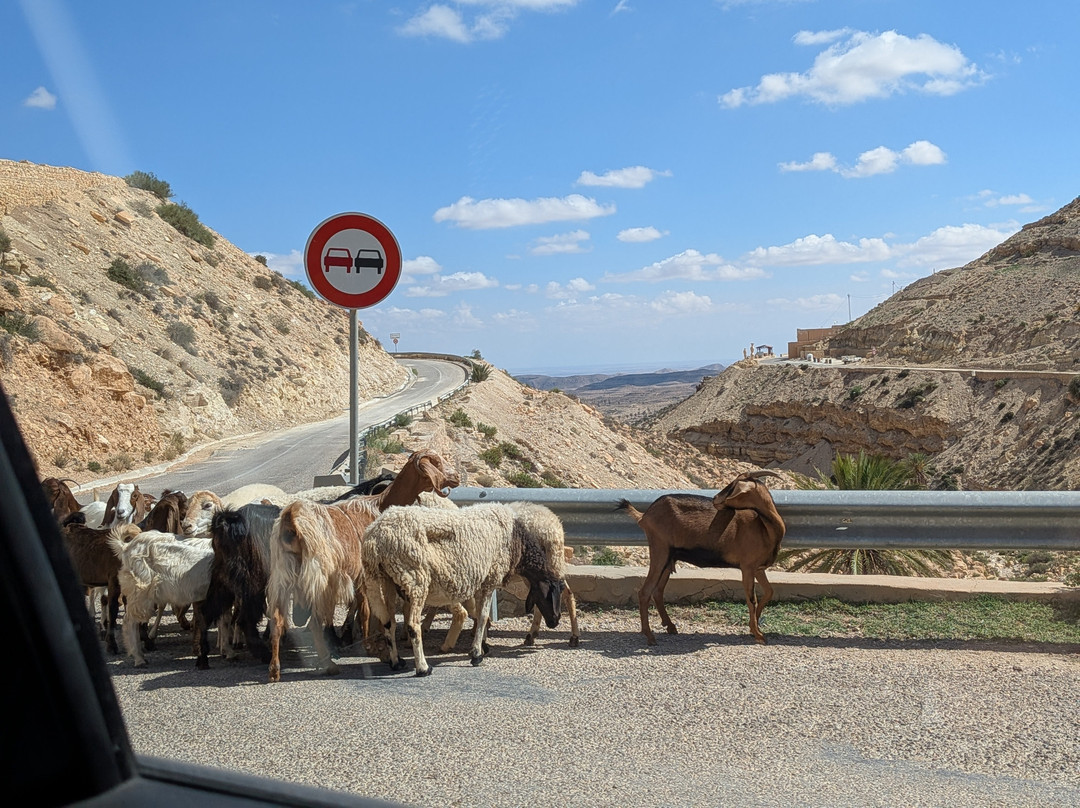Autre Tunisie Day Tours-Houmt Souk必去景点