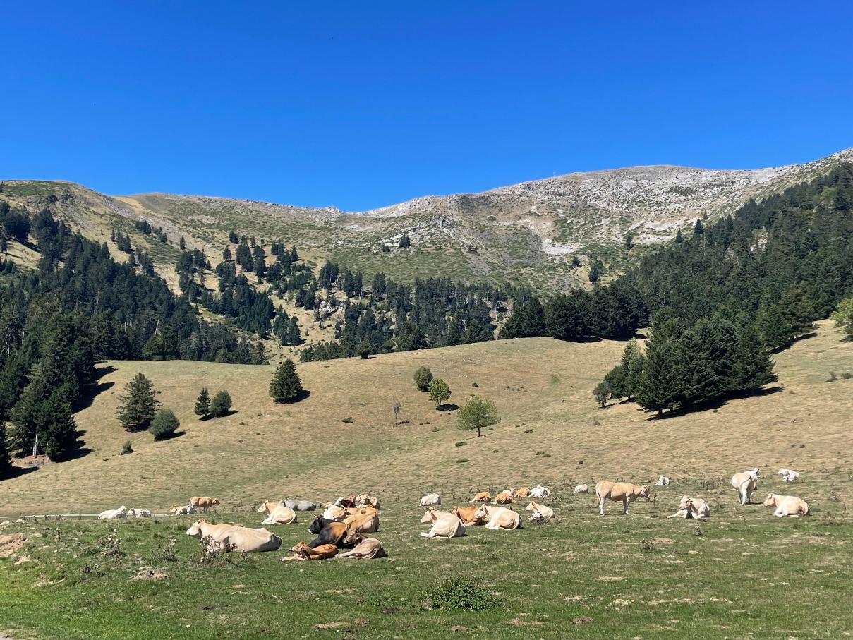 Auberge du Col de Beyrede-旅行者