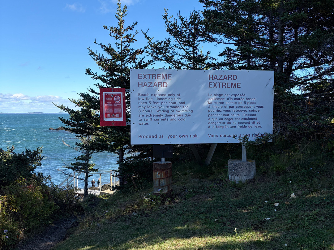 Head Harbour Lighthouse-Campobello Island必去景点