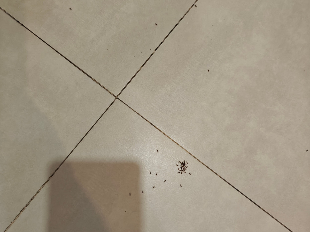 东泻湖酒店主图