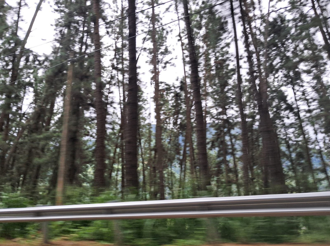Exclusively Sri Lanka-Raddolugama必去景点