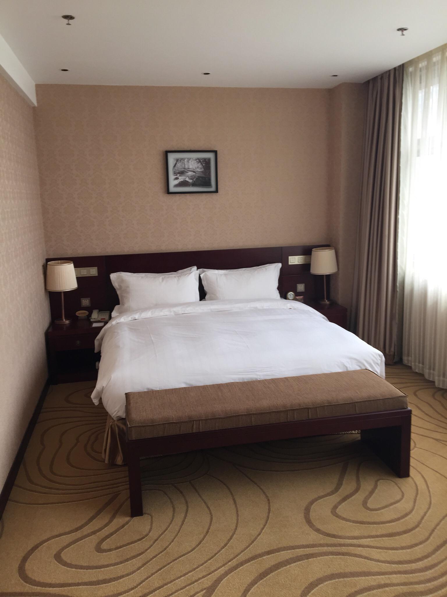 北京君颐润华酒店-客卧