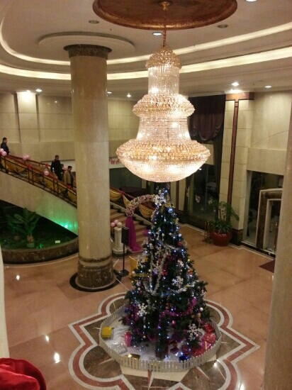 珊瑚大酒店-客卧