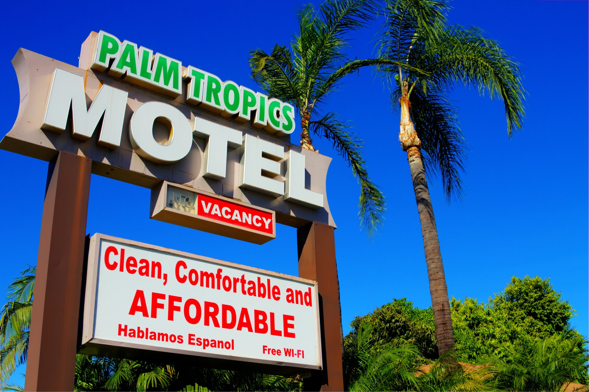 Palm Tropics Motel-官方