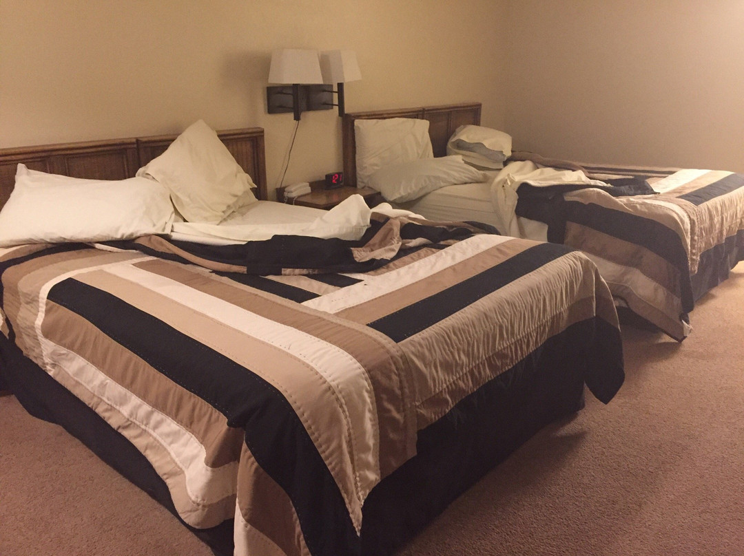 White Oaks酒店住宿-Four Winds Motel & RV Park