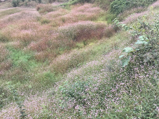 花园洞-桃江县必去景点