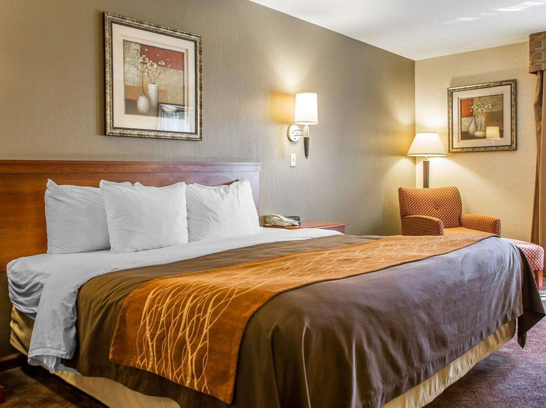 Comfort Inn Van Wert主图