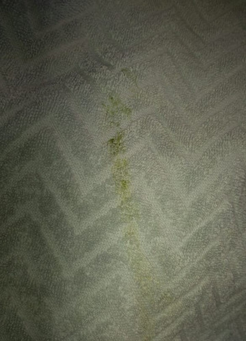 OYO 49674 Akash Resort