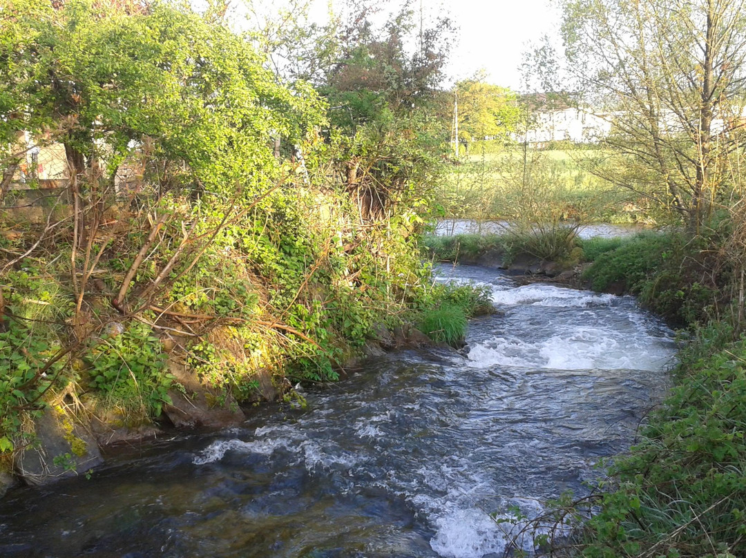 Steinen酒店住宿-Hotel Tannenhof