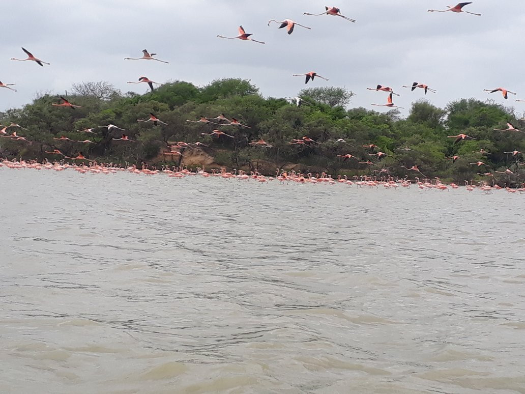 Grupo de Intérpretes Ambientales Wayuu Apushi Ipuana-Camarones必去景点