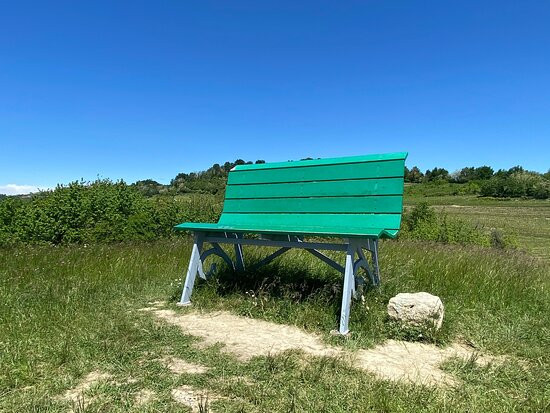 Big Bench Nr 61景点图片