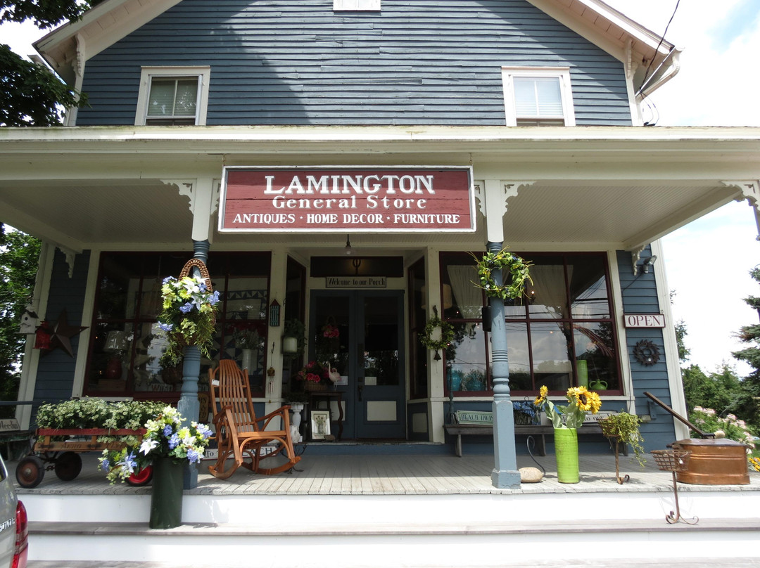 Lamington General Store景点图片