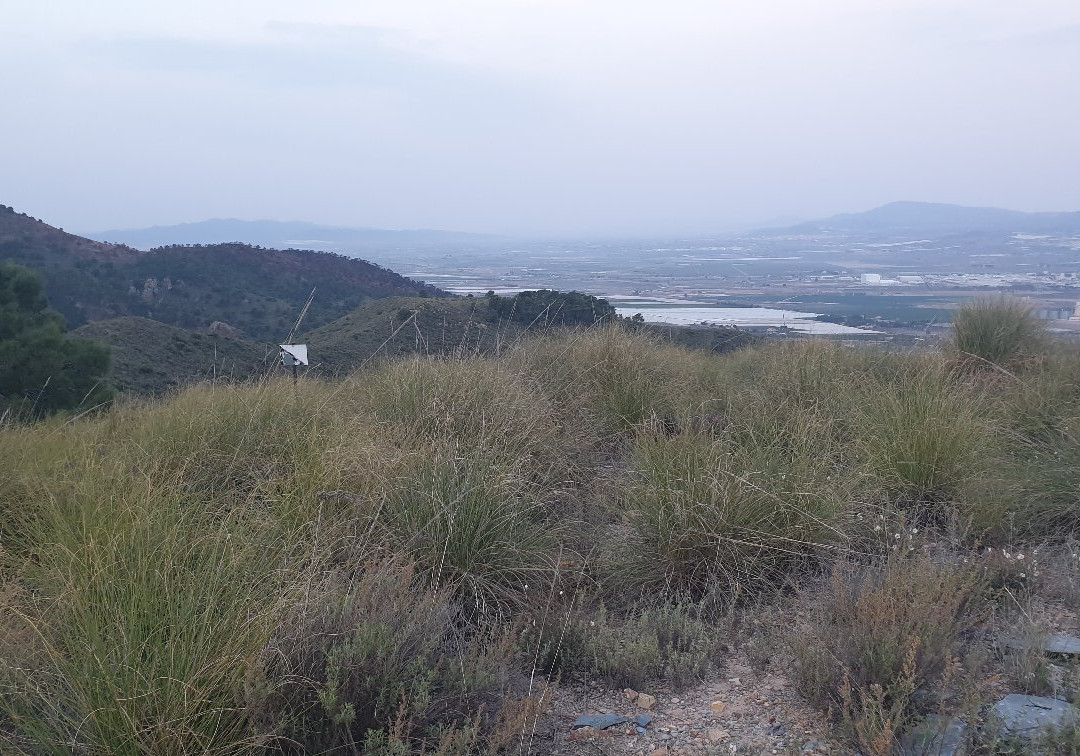 Mirador Cabezo de la Caracola景点图片