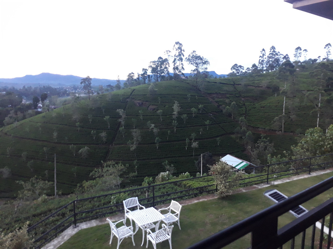 哈顿酒店住宿-Harrington Heritage