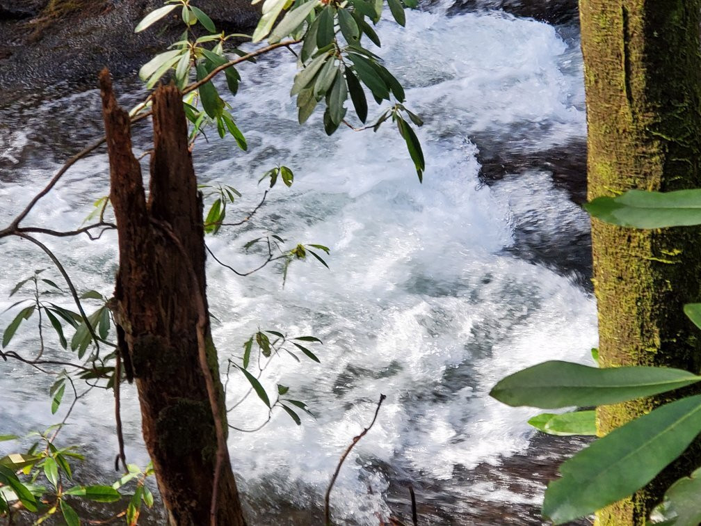 Raven Cliff Falls-海伦必去景点