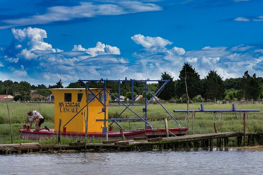 L'aigrette 2 Seudre Croisières-Mornac sur Seudre必去景点