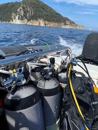 Diving In Elba Portoferraio景点图片