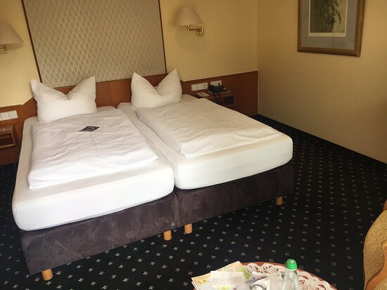 Hotel Alexa-官方