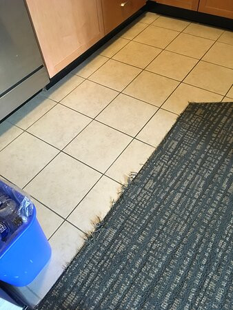 Homewood Suites by Hilton Lexington-Hamburg主图