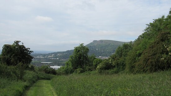 Carnmoney Hill景点图片