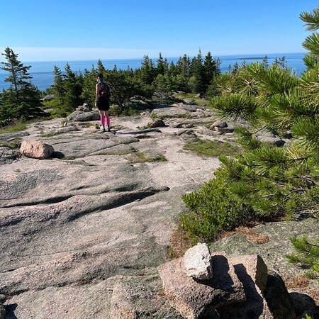 Gorham Mountain Trail景点图片