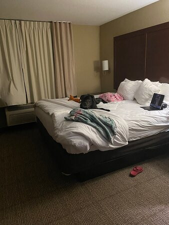 舒适套房酒店主图