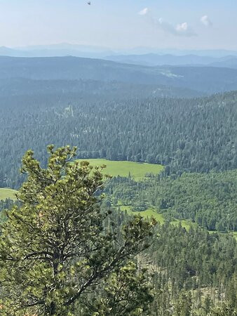 Black Hills Off-Road Rentals-戴德伍德必去景点