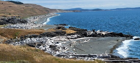 American Camp-星期五港湾必去景点