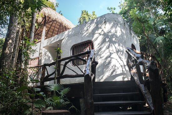 Jolie Jungle Eco Hotel主图