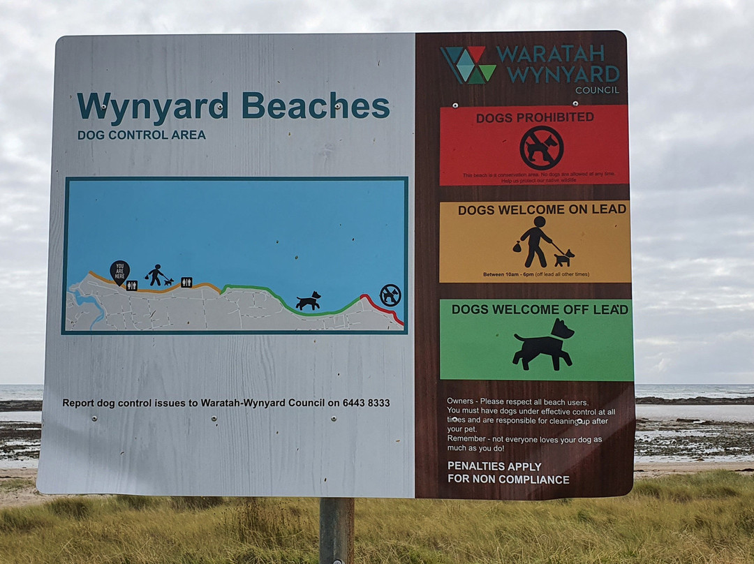 East Wynyard Beach景点图片