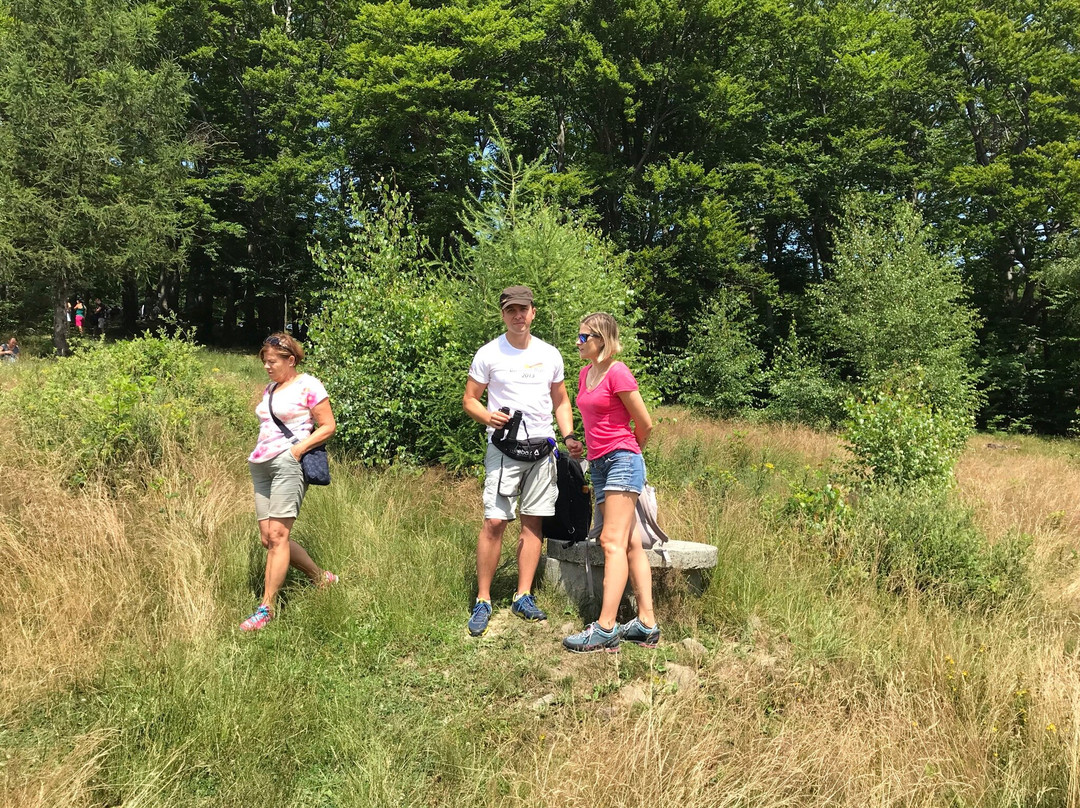 Polana Na Chrobaczej