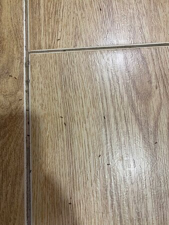 Grand Villa Guest House主图