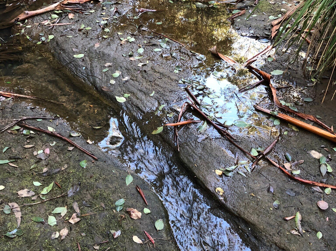 Sun Valley Fire Trail-Valley Heights必去景点