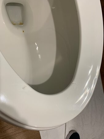 芝加哥丁雷公园伍德斯普林套房酒店主图