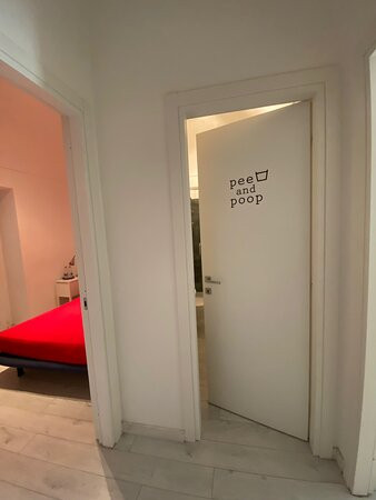 Mister Bed - Bed and Breakfast主图