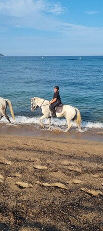 Centre Equestre de Porticcio-Grosseto Prugna必去景点