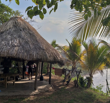 Tide Escuela de Surf-帕洛米诺必去景点