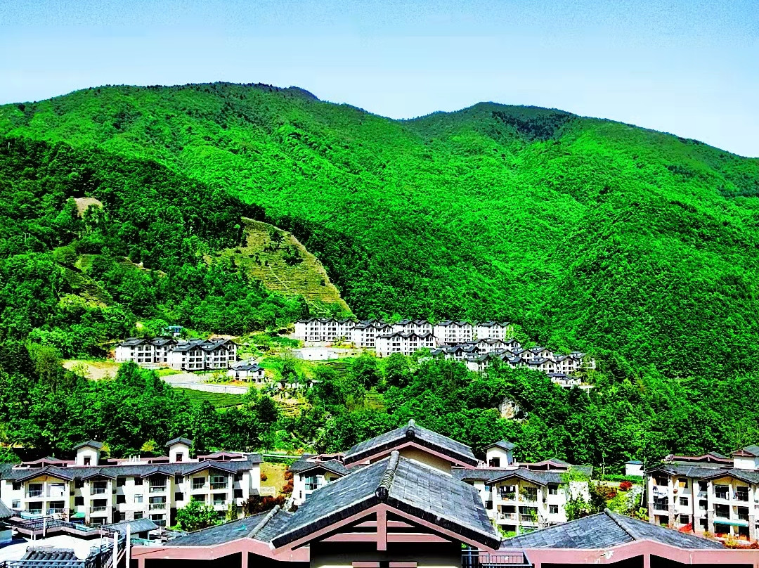 神农架林区酒店住宿-阿尔卡迪亚森林酒店