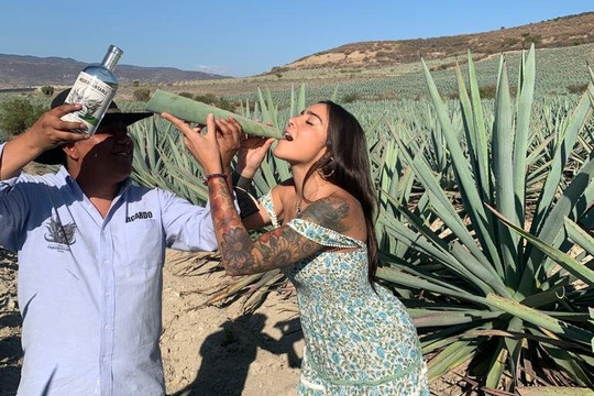 The Mezcal Journey-瓦哈卡必去景点