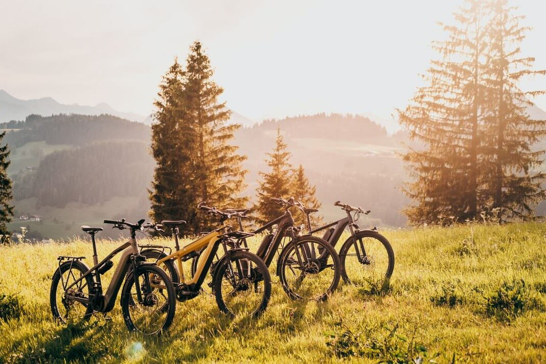 E-bike excursion exploring the Purbecks景点图片