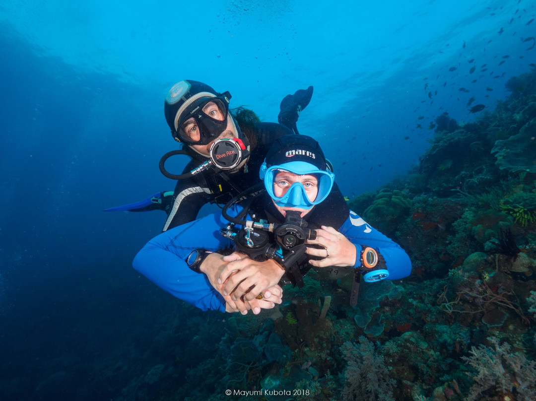 Dreamers Dive Academy景点图片
