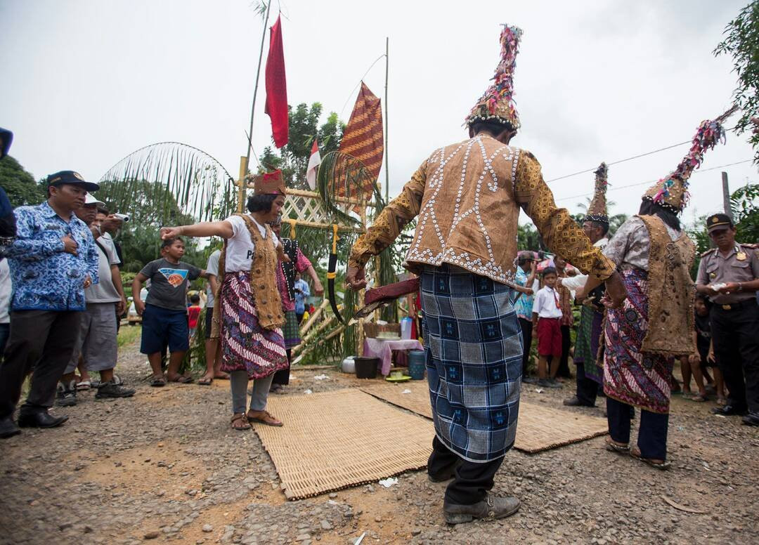 Orangutan Green Tour-Pangkalan Bun必去景点